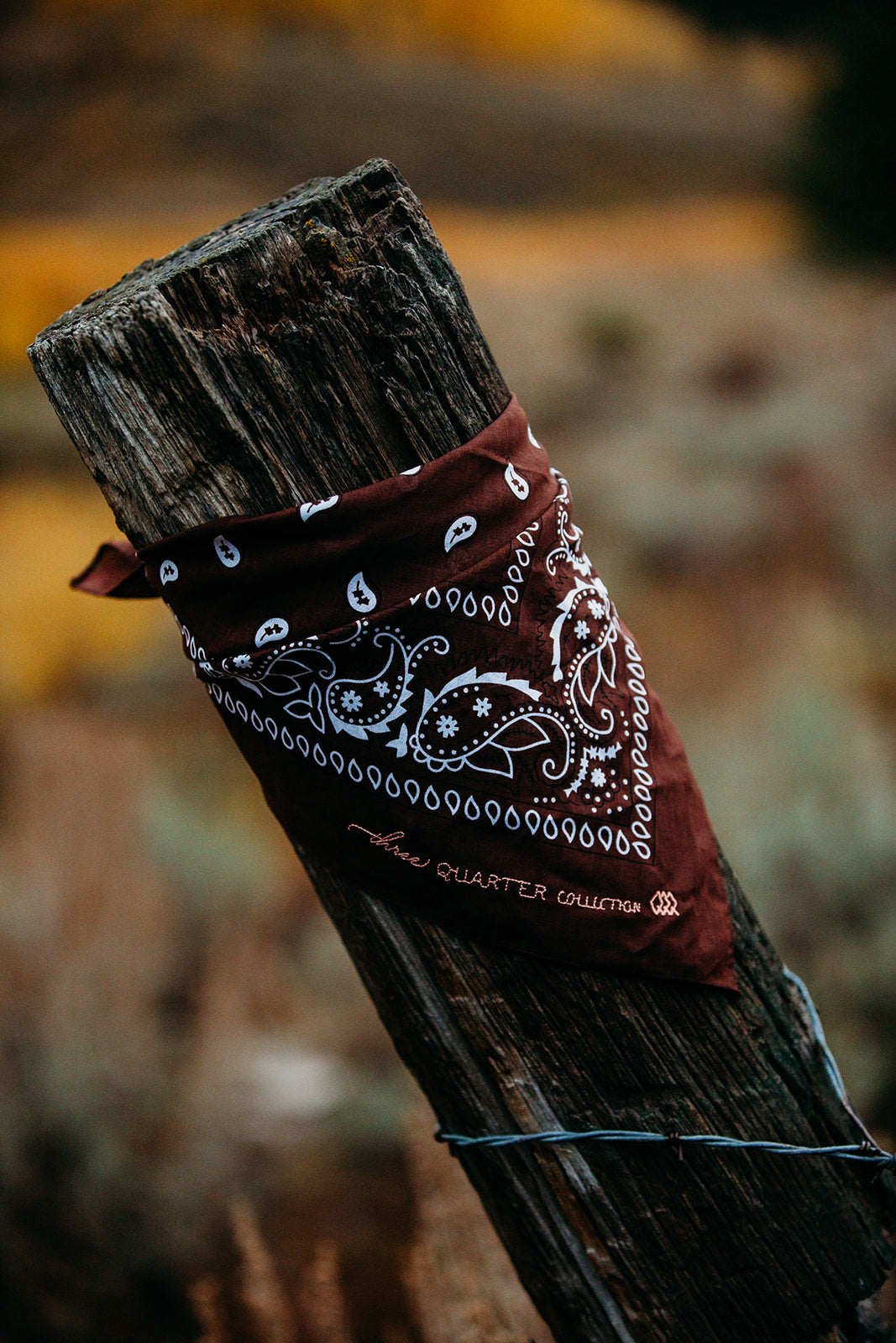Cowgirl Bandana