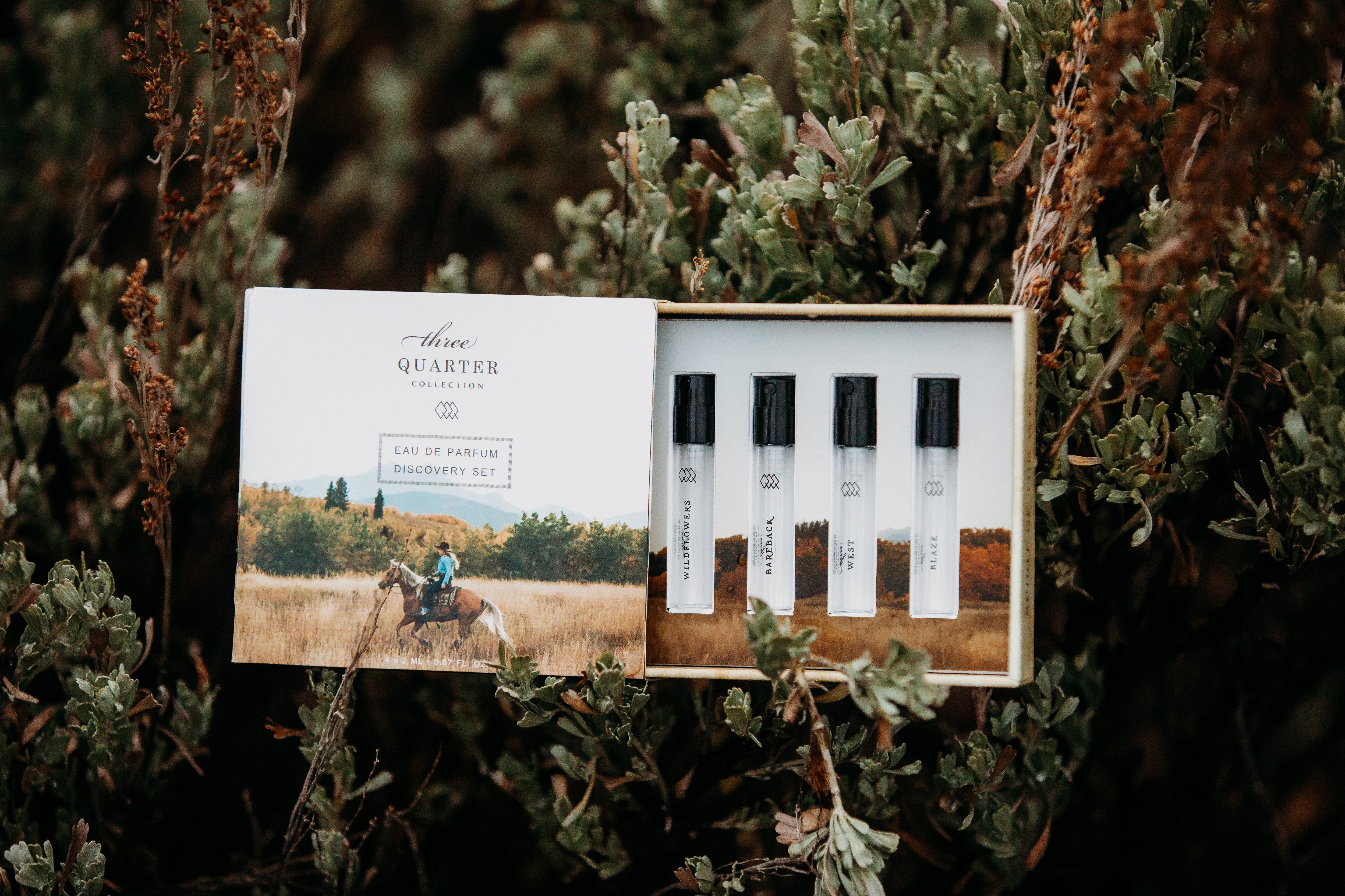 Moone Tsai, Quixote Rocinate, Dyer 3本セット Moone Tsai, Quixote Rocinate, Dyer 3本セット 【公式通販】